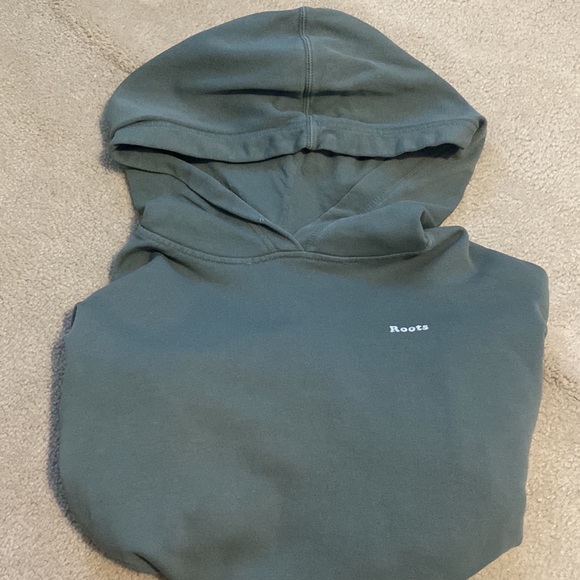 Roots sage green lightly worn hoodie - Picture 3 of 6